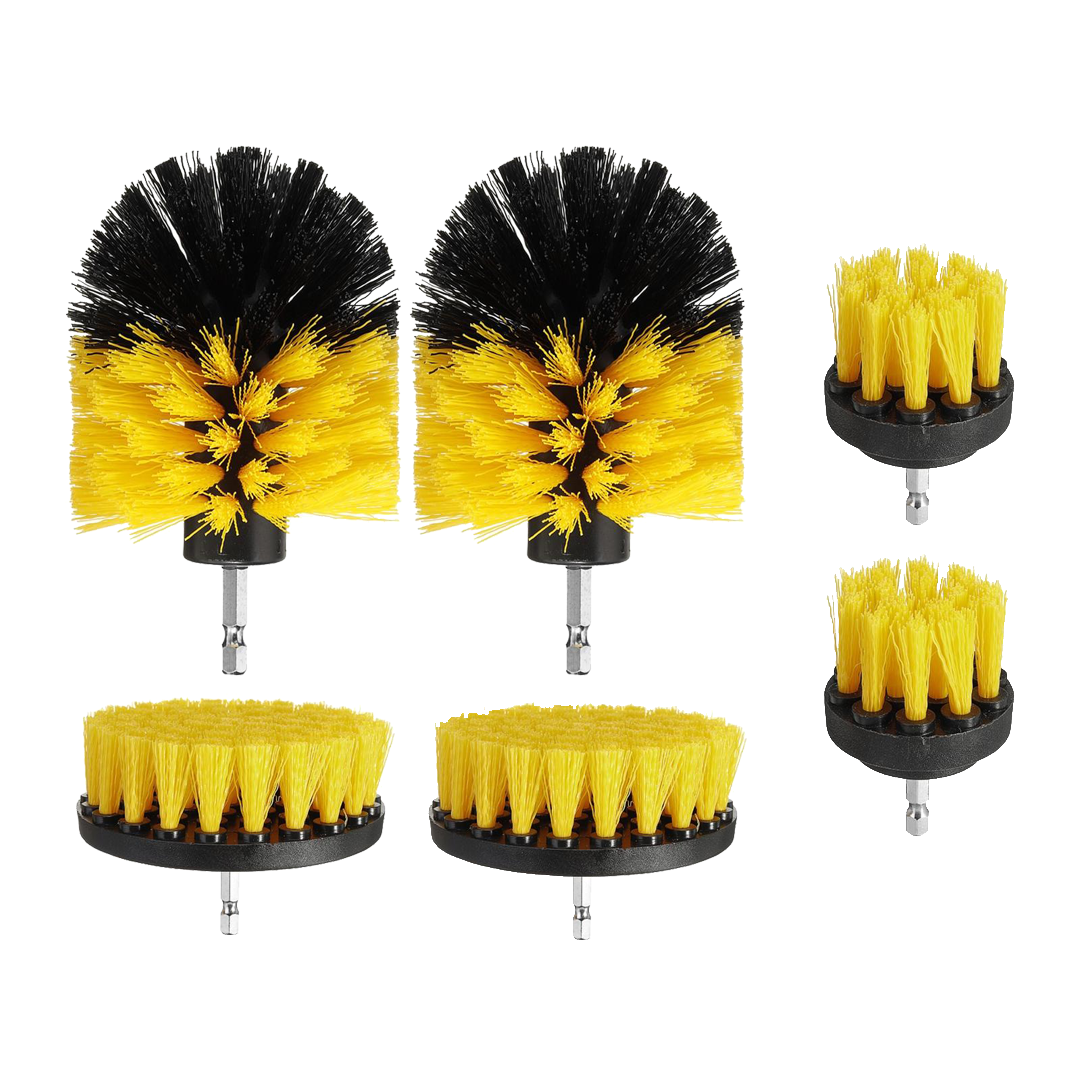 Medium borrborstar 6-pack