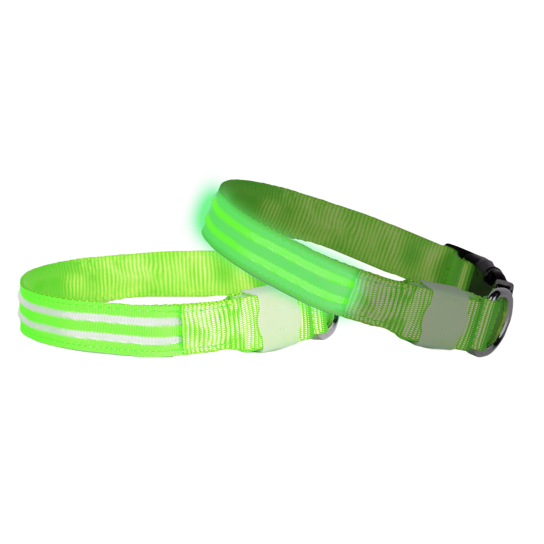 LED-hundhalsband uppladdningsbart Grön