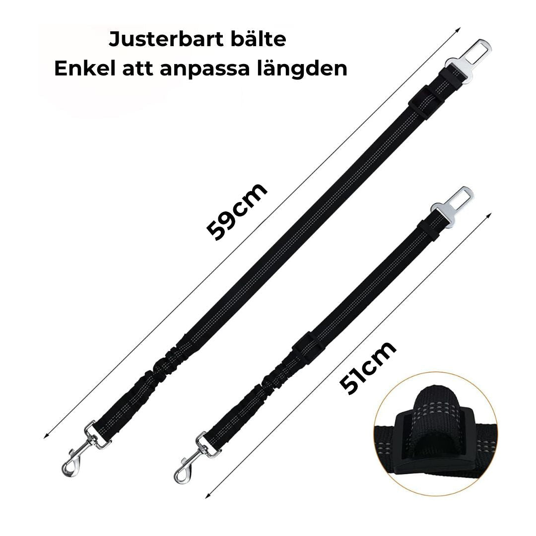 Säkerhetsbälte för hund och katt i bil