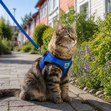 Kattsele justerbar med mjuk passform