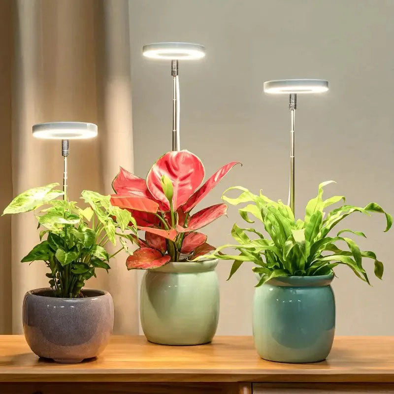 LED växtlampa - timer och dimmer för inomhusodling