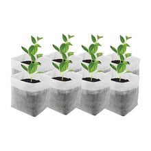 Odlingspåsar 100-pack biologiskt nedbrytbara