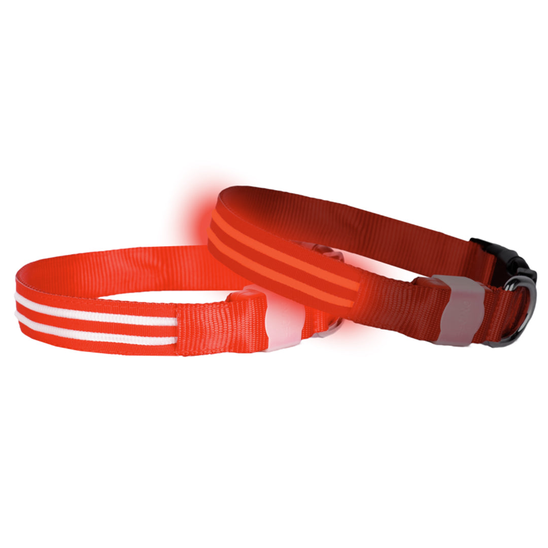 LED-hundhalsband uppladdningsbart Rött