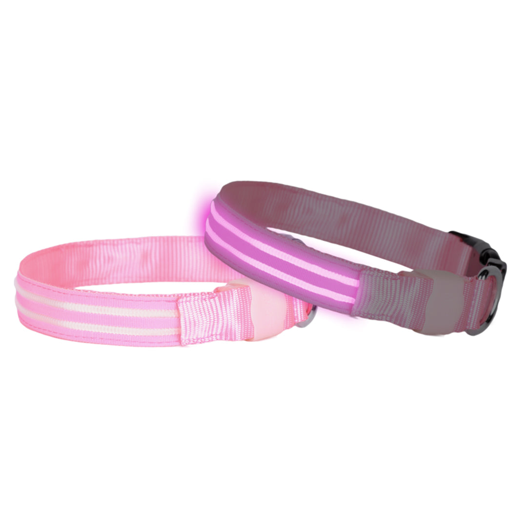 LED-hundhalsband uppladdningsbart Rosa