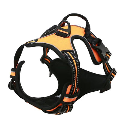Säkerhetssele för hund Orange