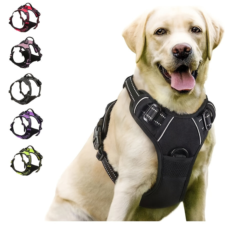 Säkerhetssele för hund