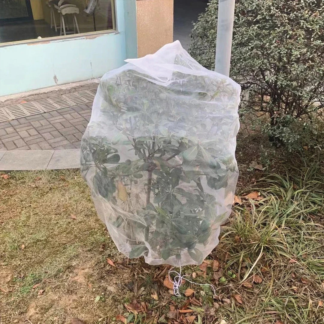 Skyddsnät för plantor och buskar utomhus
