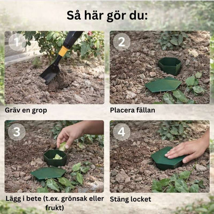 Snigelfälla för trädgård med lock