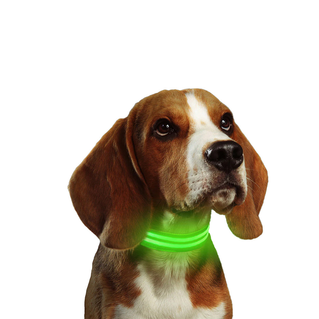 LED-hundhalsband uppladdningsbart