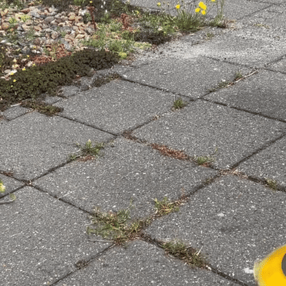 Trimmerborstar mixpaket för ogräs och mossa