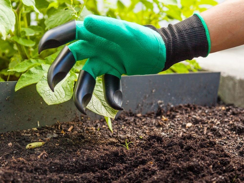 Trädgårdshandskar med klor för plantering