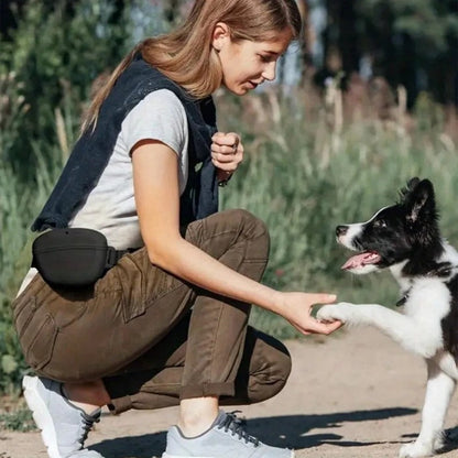 Väska för hundgodis