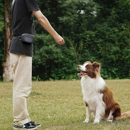 Väska för hundgodis